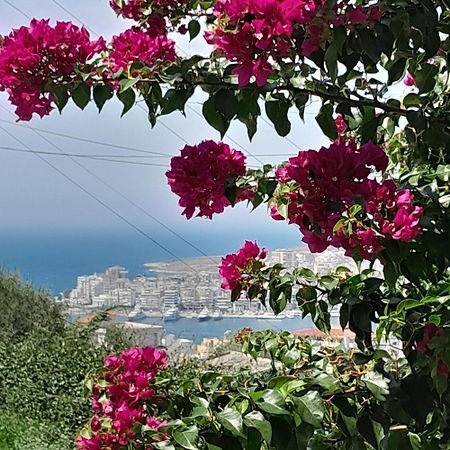 Luxury Dennis Home Σαράντα Εξωτερικό φωτογραφία
